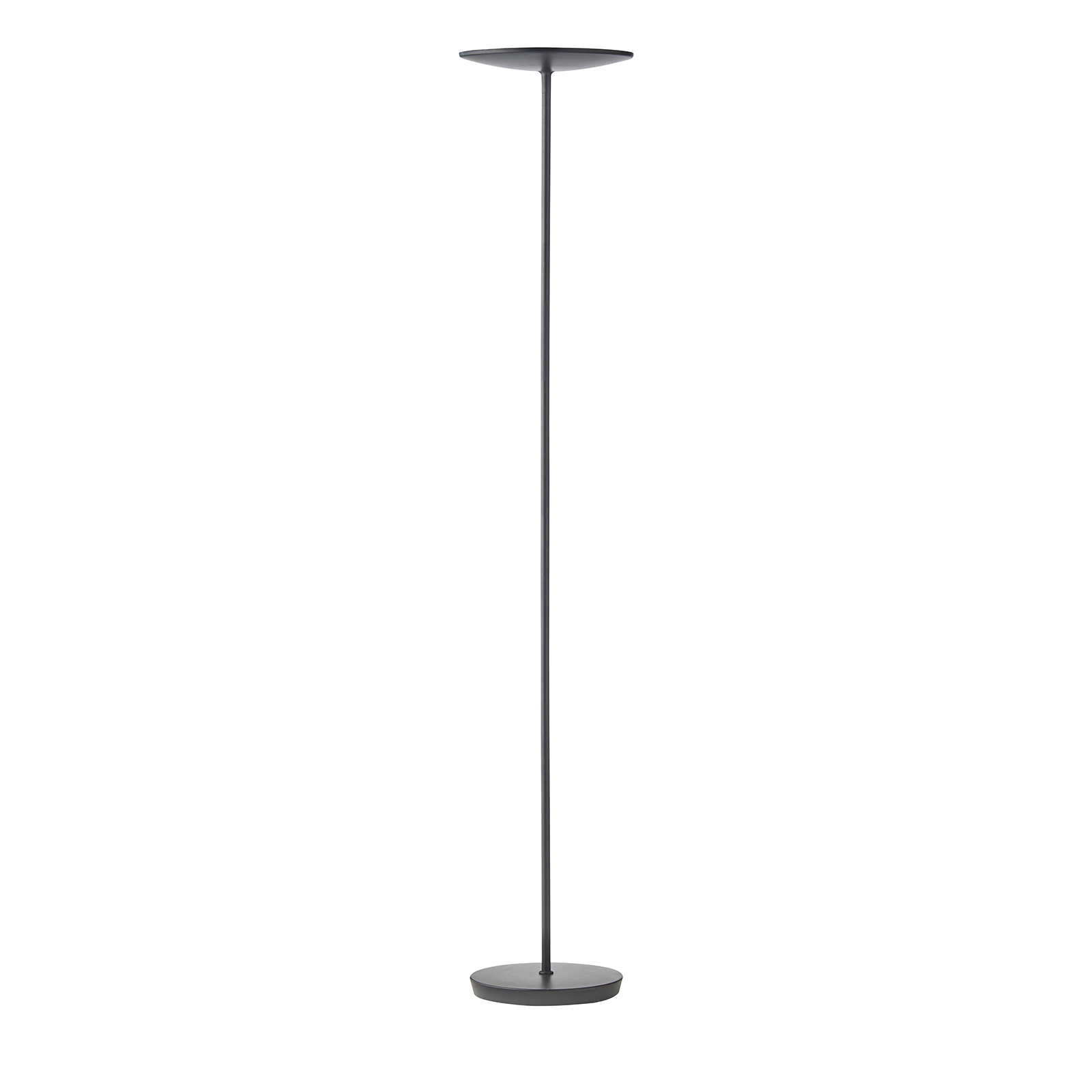 Floor Lamps