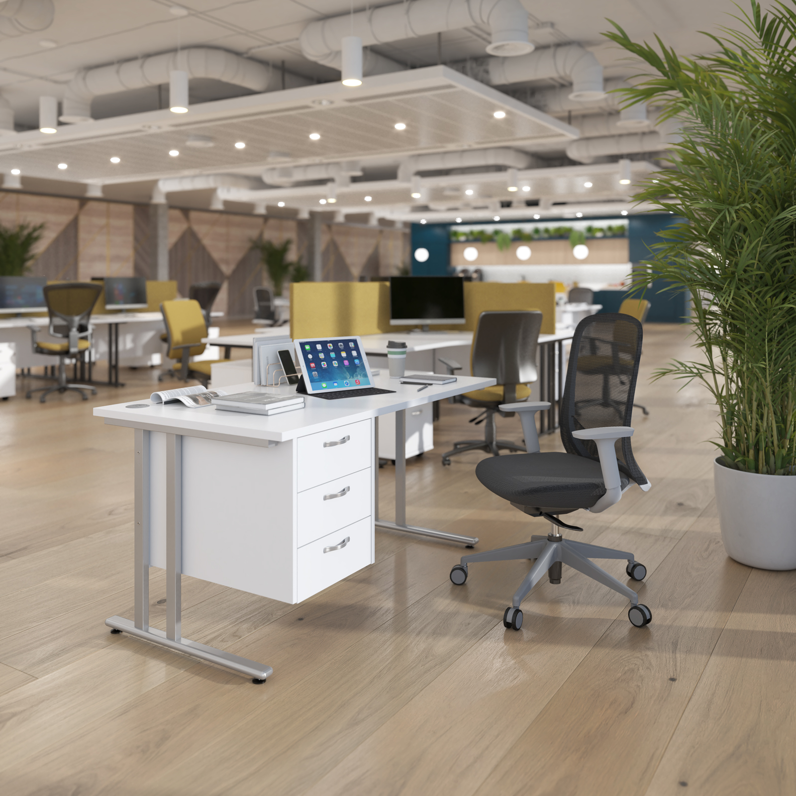 Maestro 25 Cantilever