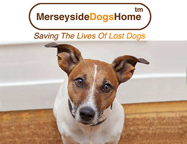 Merseyside dogs home